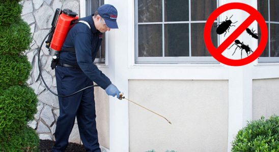 Ümraniye Kene İlaçlama böcek ilaçlama ve haşere kontrolü — ilaclama-tr.com